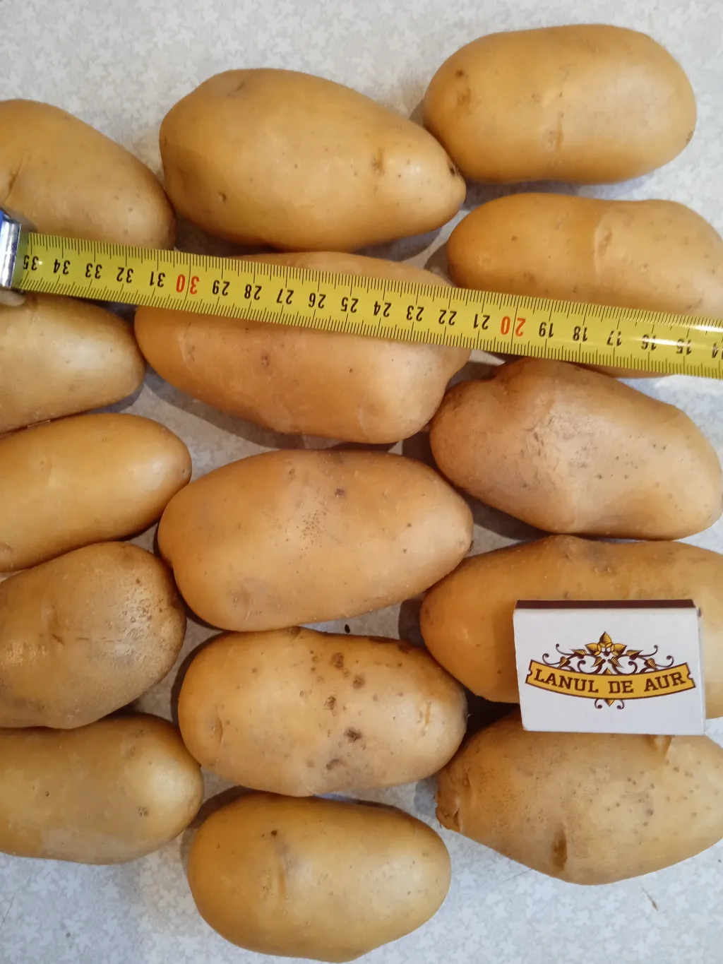 продаем крупный картофель. в Брянске 8