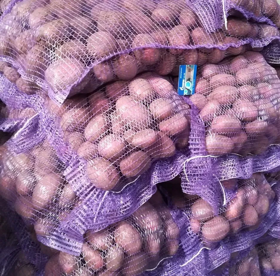 картофель, красный, со склада хозяйства в Брянске