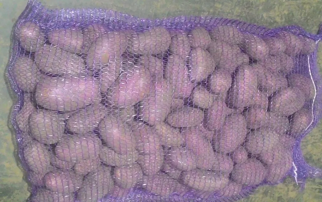картофель, поставляем на экспорт. в Брянске
