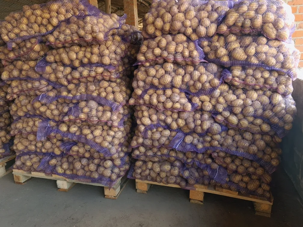 картофель оптом из Брянской области в Брянске