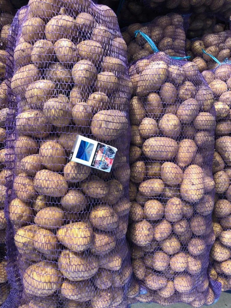 картофель Гала в Брянске