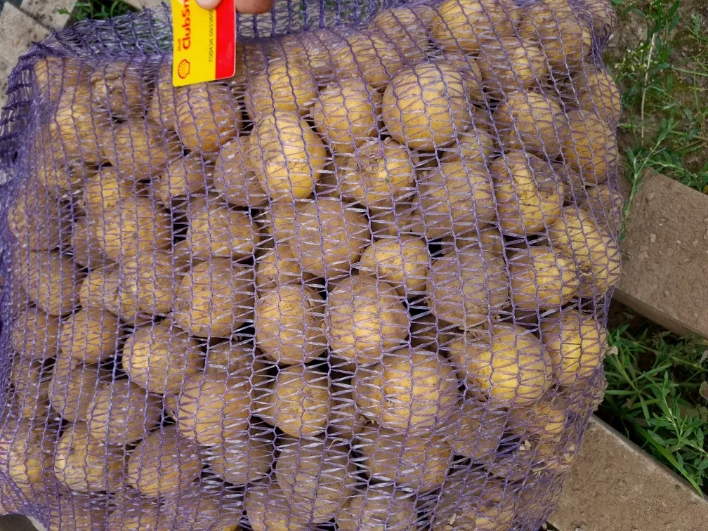 картофель, 3 - 5 см в Брянске