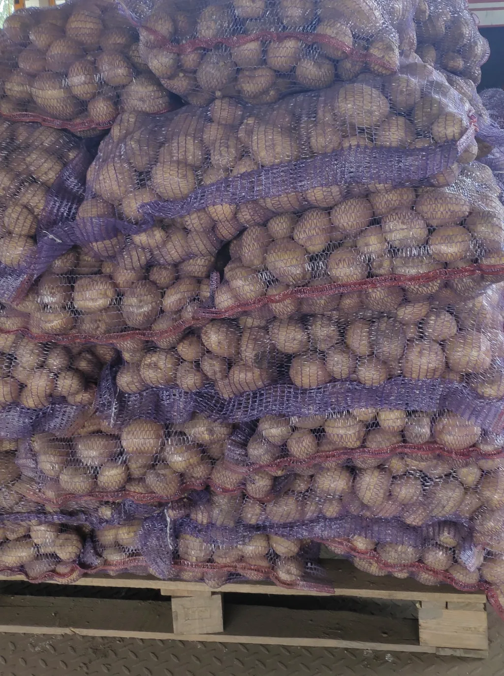 картофель урожая 2021 в Брянске