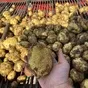 картофель молодой  урожай 2022г. в Брянске 3