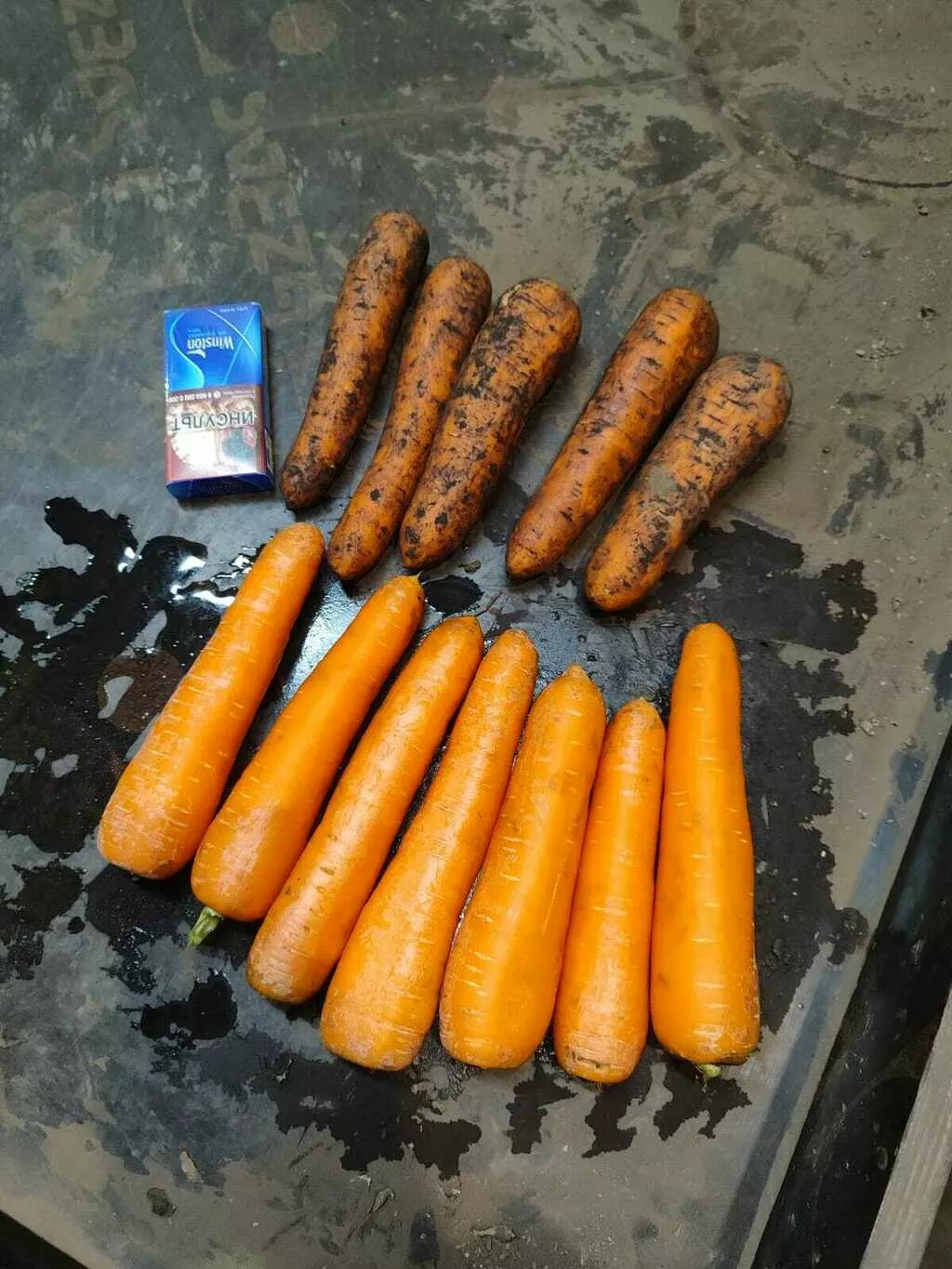 морковь свежая в Брянске и Брянской области 4
