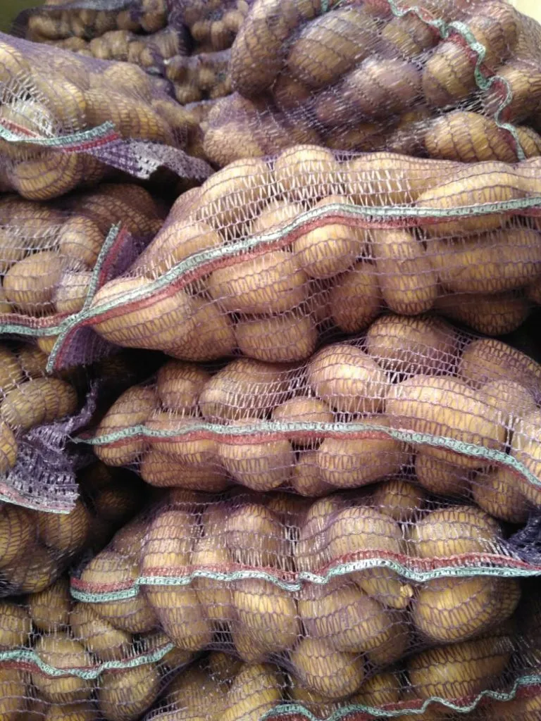 картофель от КФХ в Брянске 2