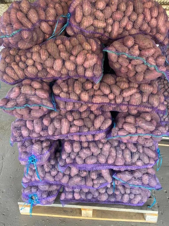 картофель Брянск в Брянске