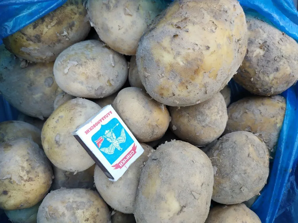 картофель со склада хозяйства в Брянске 2