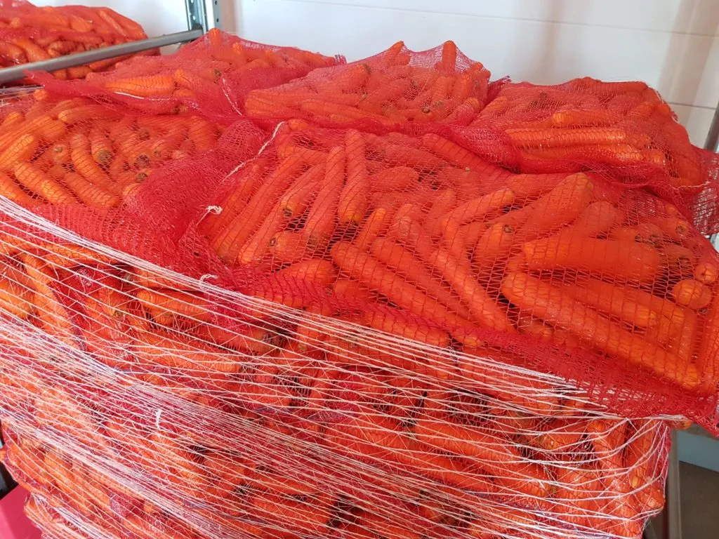 морковь оптом 2023 в Стародубе 2
