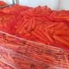 морковь оптом 2023 в Стародубе 2
