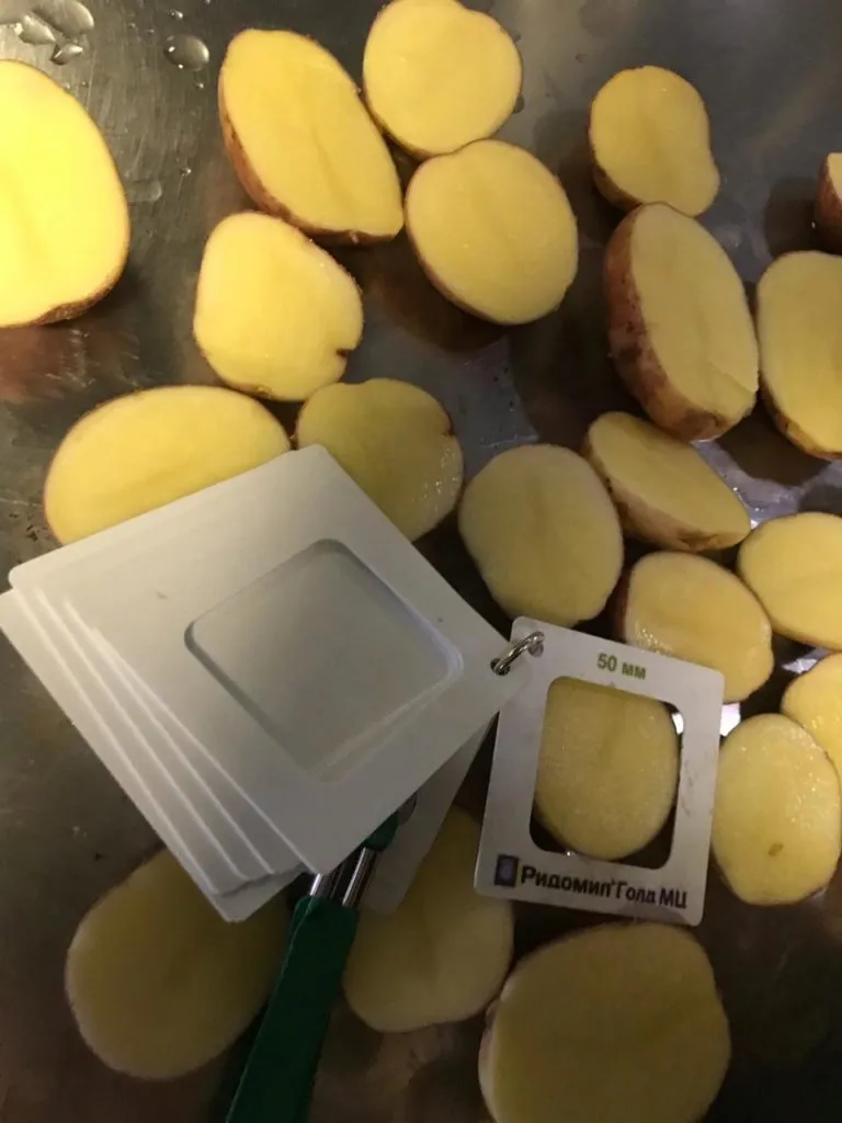 картофельот производителя, урожай 2019  в Брянске 5