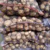 картофель оптом со склада хозяйства. в Брянске