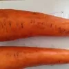 морковь в Брянске