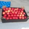 яблоки в Молдове, России. в Брянске 7