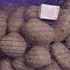 картофель сетевой в Брянске