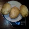 купим картофель. в Брянске 7